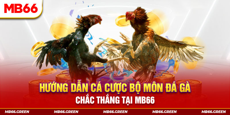 hot 51 liv CQ9 Điện Tử