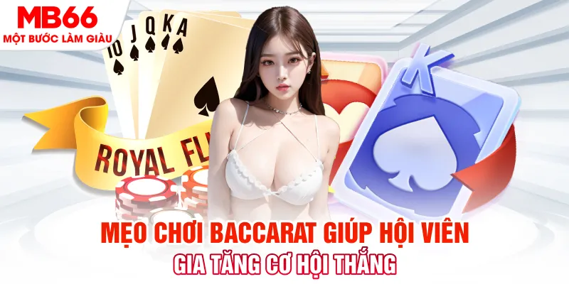 hot 51 liv đá gà 88