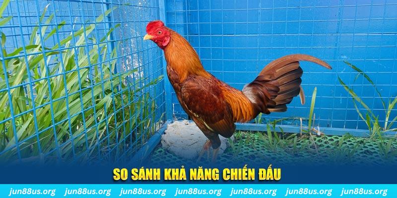 hot 51 liv xổ số tiền giang