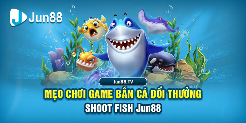 hot 51 liv tai game danh bai bigkool ve may tinh