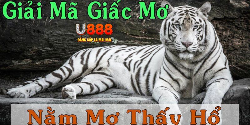 hot 51 liv xổ số kiến thiết miền bắc