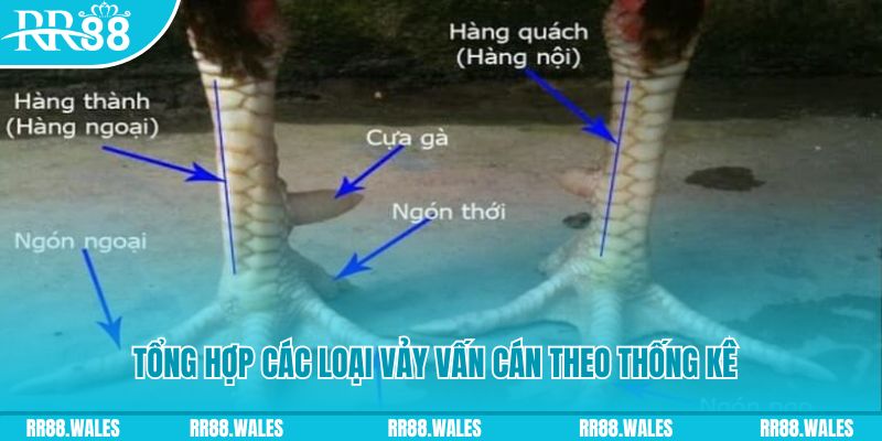 hot 51 liv nổ hũ chơi như thế nào