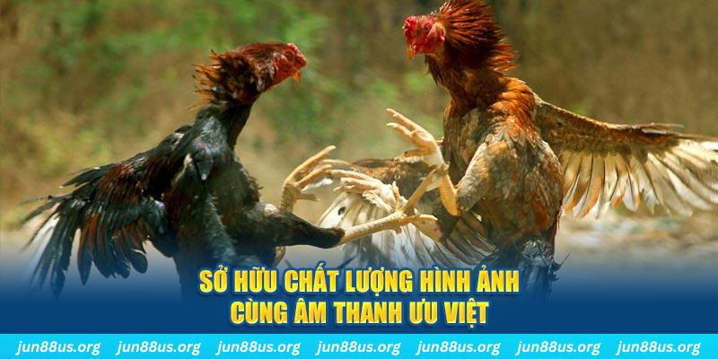 hot 51 liv tai game danh bai ve may tinh