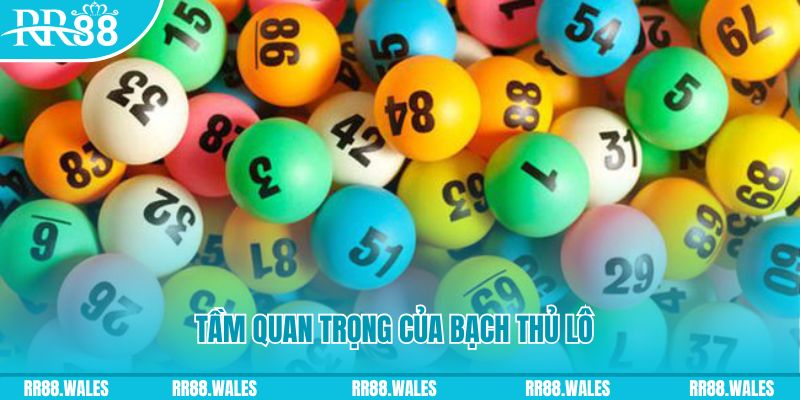hot 51 liv đá gà trực tiếp casino