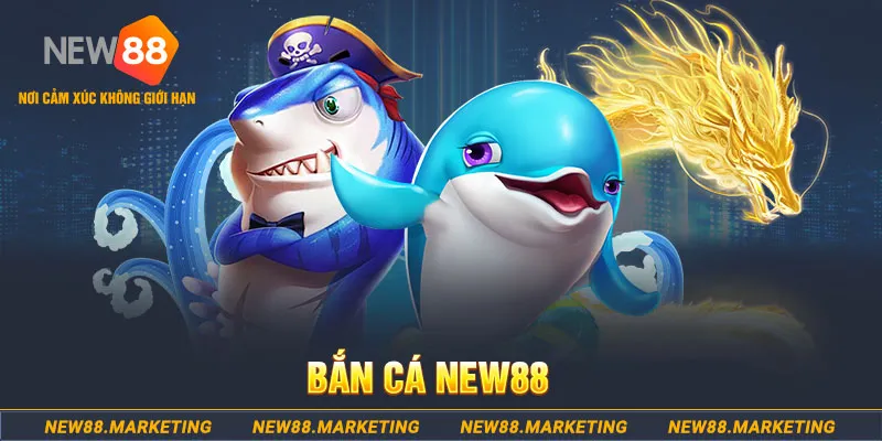 hot 51 liv 2 slot là gì