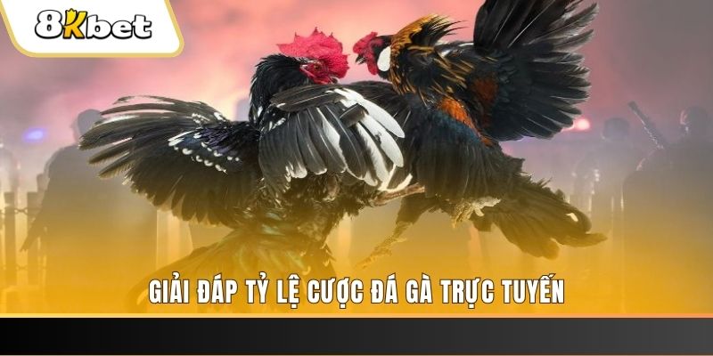 hot 51 liv xổ số ba đài
