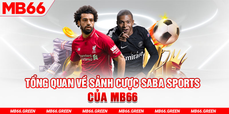 hot 51 liv slot có nghĩa là gì