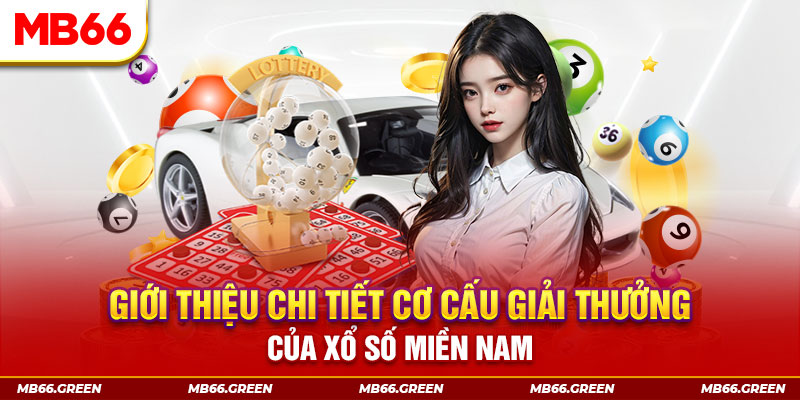 hot 51 liv PP Điện Tử