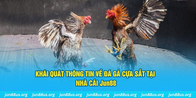 hot 51 liv game bài trên máy tính