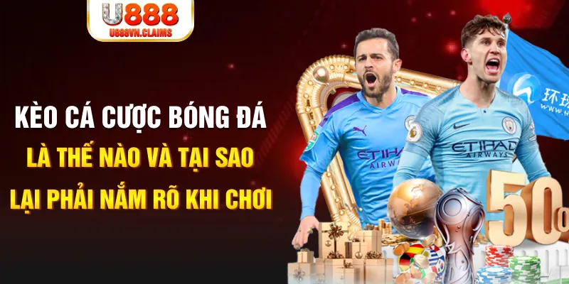 hot 51 liv slot la gì